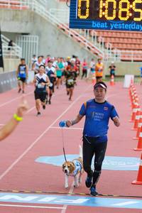 BIB: 
                            <button type="button" onclick="openModal(4598929)" class="btn btn-primary btn-sm float-right btn-popup" data-toggle="modal" data-target=".modal-high-quality">
                        <i class="fas fa-shopping-cart"></i> Add to Cart
                    </button>
                                            <button type="button" onclick="isThisMe(4598929, true)" class="btn btn-success btn-sm float-right btn-popup btn-isme hidden" data-toggle="tooltip" data-placement="bottom" title="นี่คือรูปของคุณใช่ไหม คลิกที่นี่เพื่อเอาเข้าอัลบั้ม">
                        <i class="fas fa-plus"></i> Add to album
                    </button>
                    <button type="button" onclick="isThisMe(4598929, false)" class="btn btn-warning btn-sm float-right btn-popup btn-isnotme hidden">
                        <i class="fas fa-ban"></i> Remove from album
                    </button>